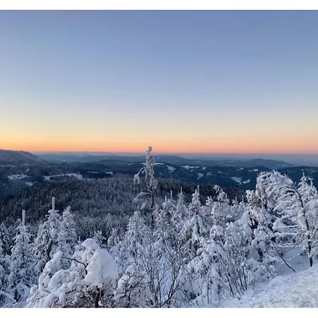 Lieblingsort דירה פרוידנשטאדט