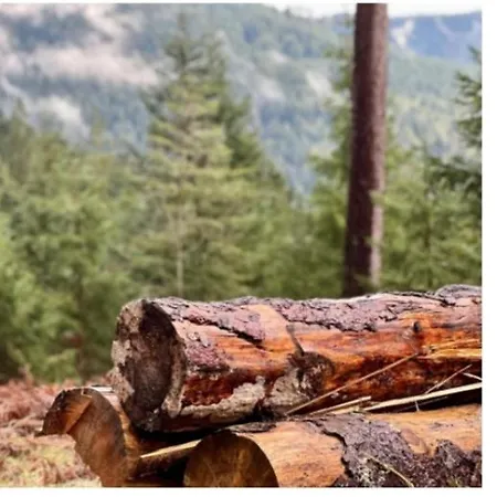 Lieblingsort פרוידנשטאדט