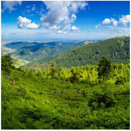 דירה Lieblingsort