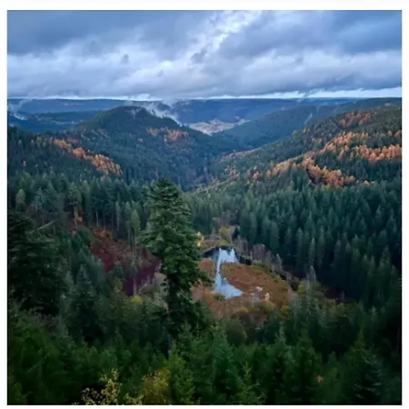 Lieblingsort Apartamento *