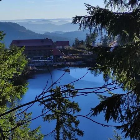 Lieblingsort דירה פרוידנשטאדט