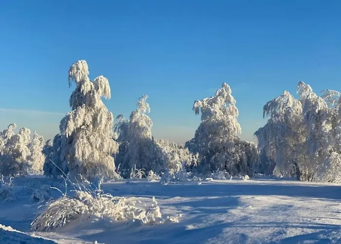 Apartment Lieblingsort